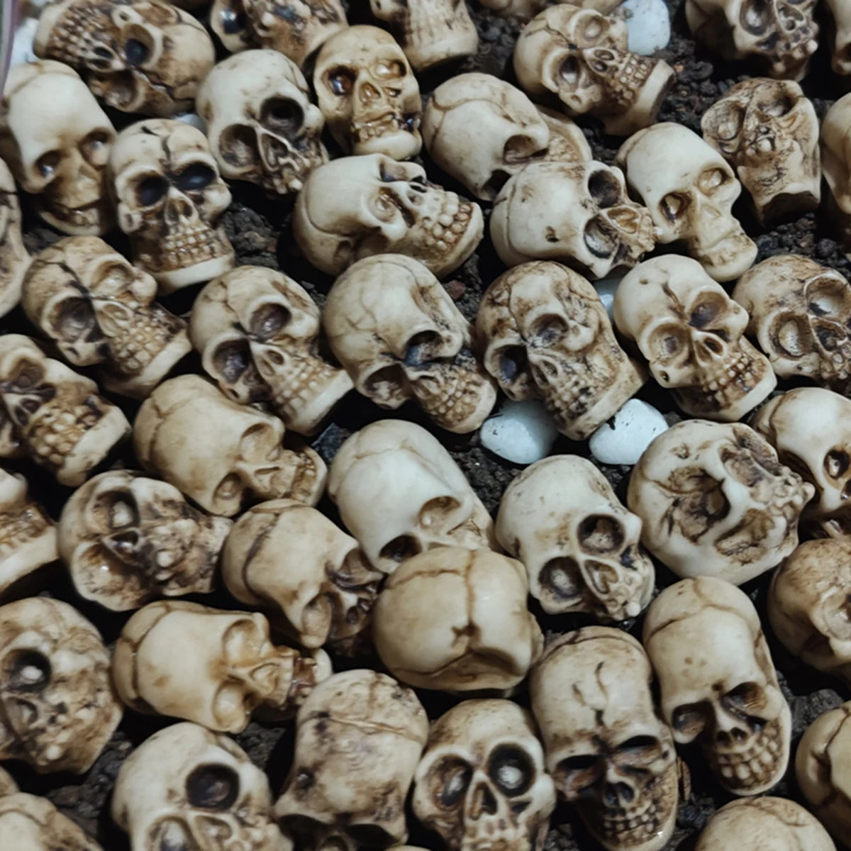 20pcs Mini Skulls, Small Skeleton Head Flowerpot Decor Realistic Skull Crafts Halloween Garden Decoration Bonsai Courtyard Ornam