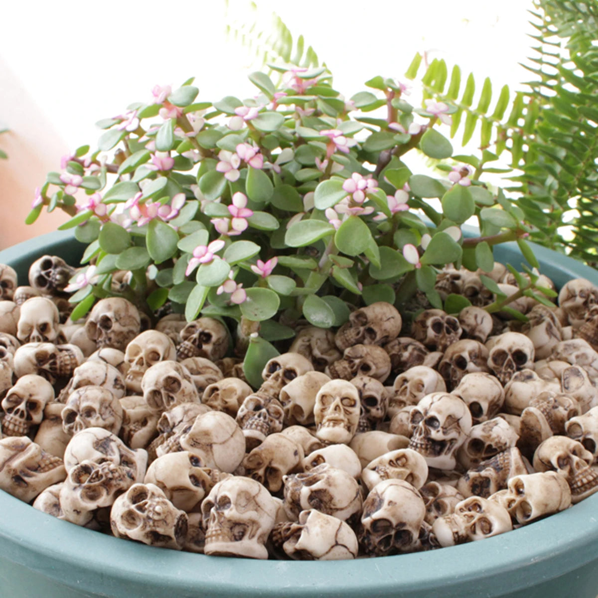 20pcs Mini Skulls, Small Skeleton Head Flowerpot Decor Realistic Skull Crafts Halloween Garden Decoration Bonsai Courtyard Ornam